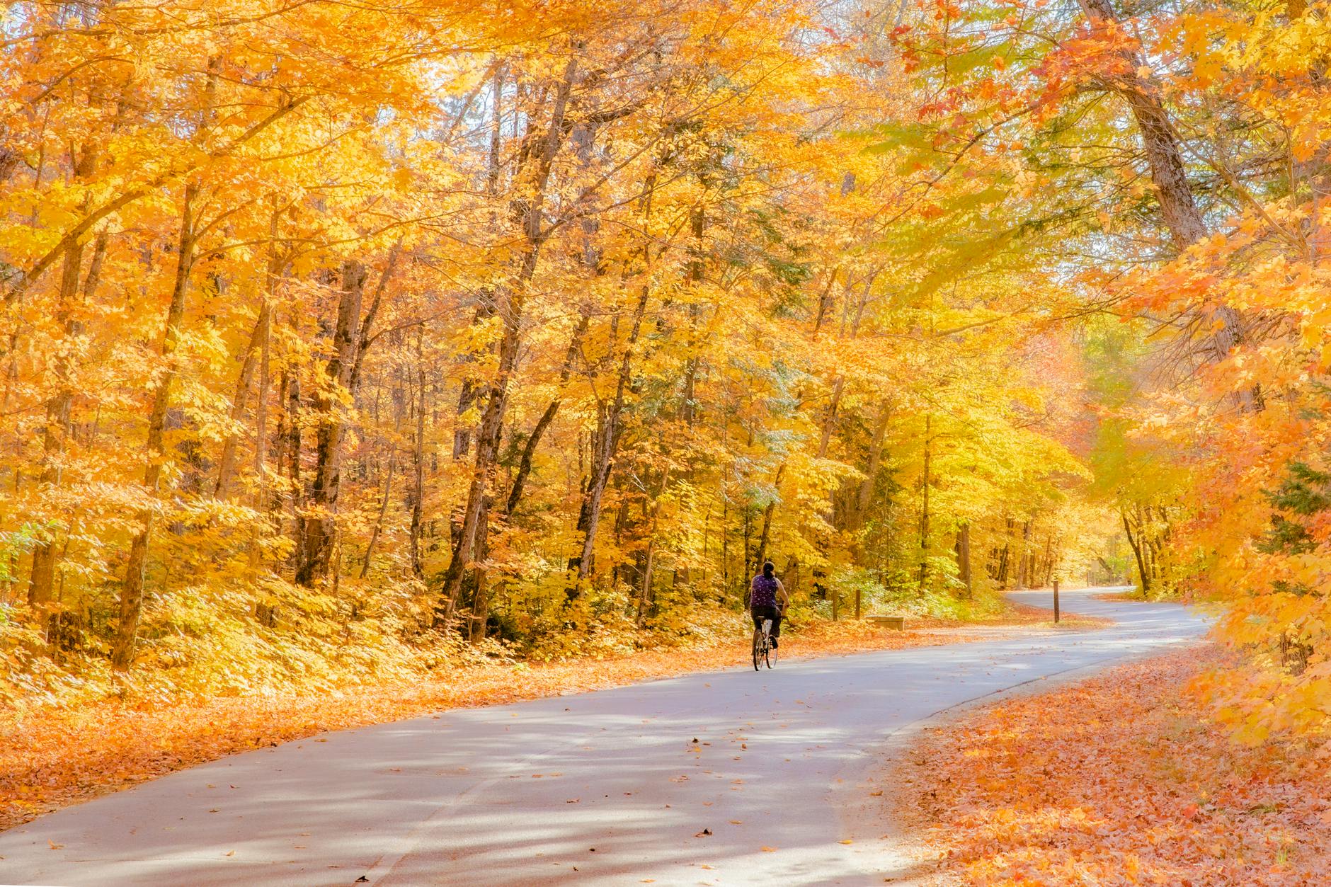 Off-season på Zwift: Augusti–oktober för svenska cyklister